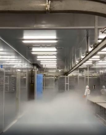 探廠國內寵物食品凍干廠 國產凍干品質如何，L-羥脯氨酸生產的關鍵作用